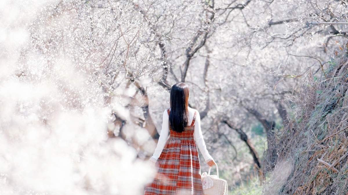 615819355 1285679496930459 3582395201142407594 n