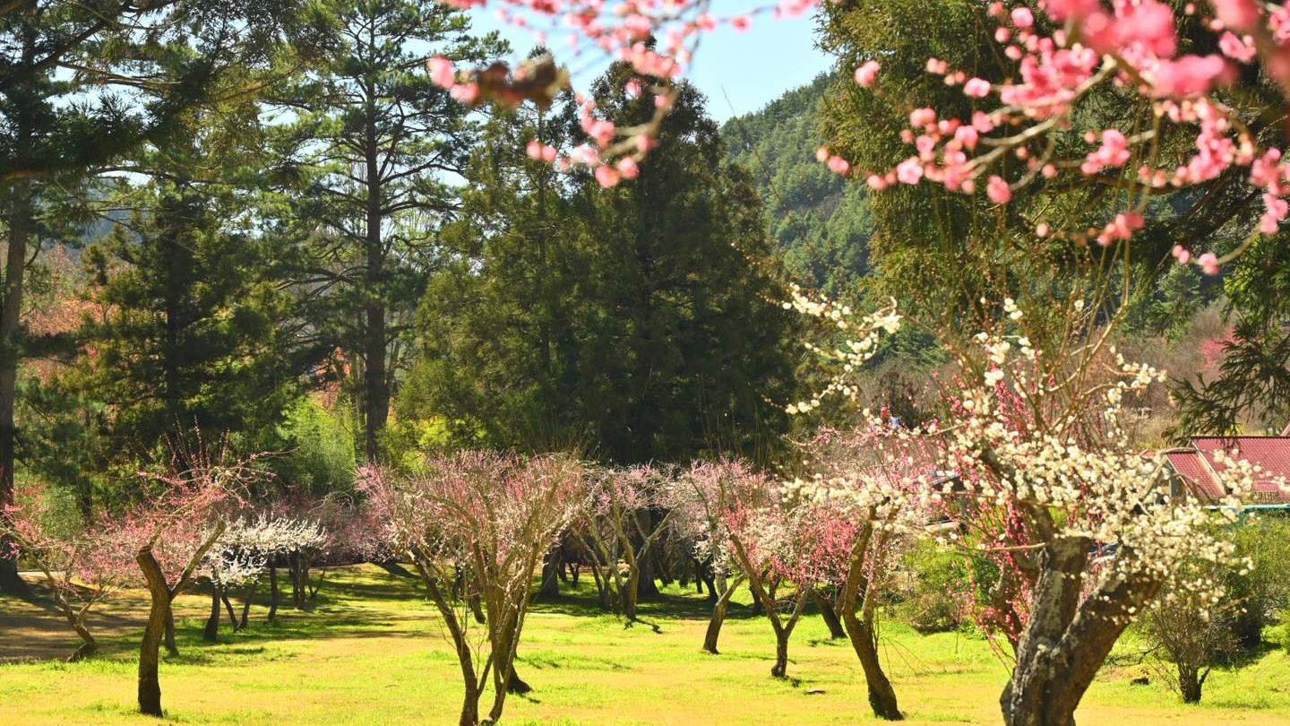 625053511 1319198493576971 4632394422353663437 n