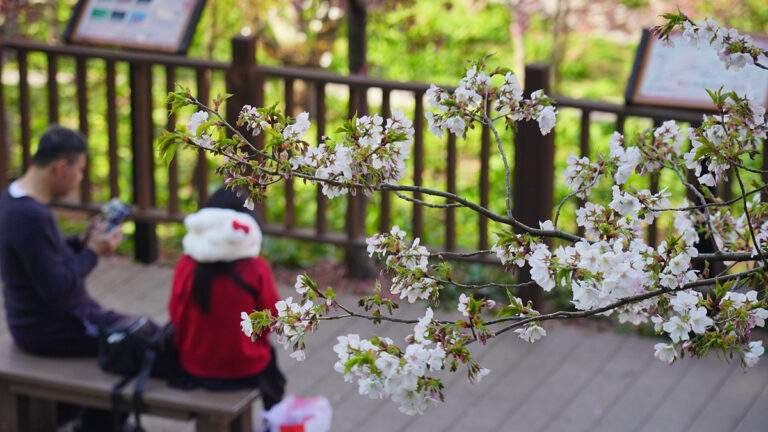 625197360 1345915740904776 8486287275355572355 n