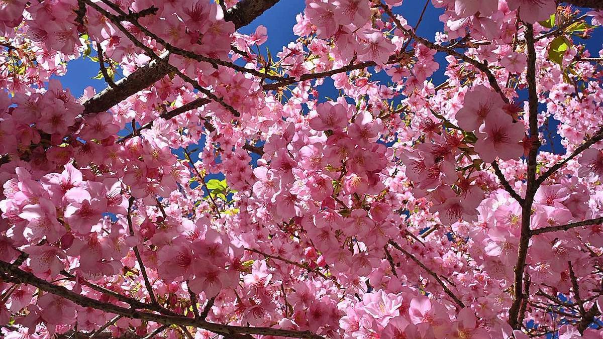 627392216 1319480350215452 6202966597678046103 n