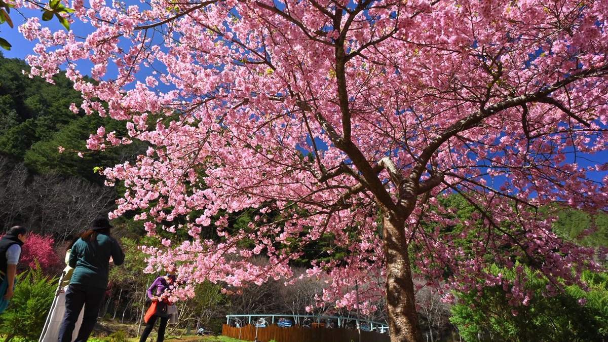 627406203 1319480343548786 230361602171971082 n