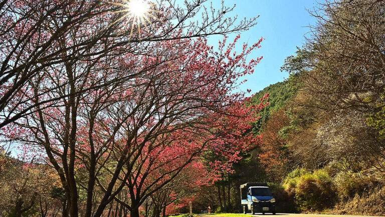 627718290 1319991413497679 6529668610977951092 n