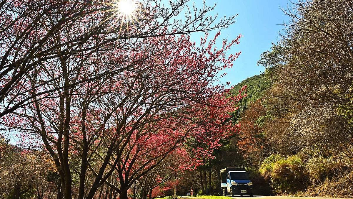 627718290 1319991413497679 6529668610977951092 n