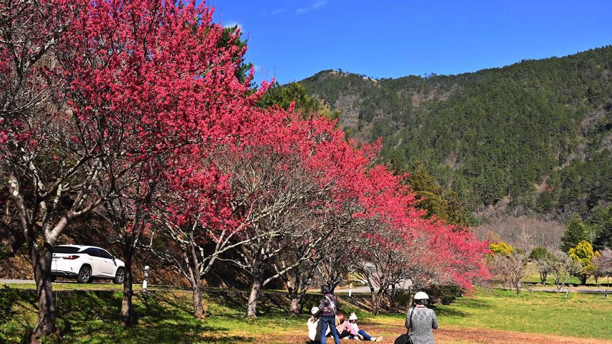 628186857 1319991433497677 5721552314925246771 n