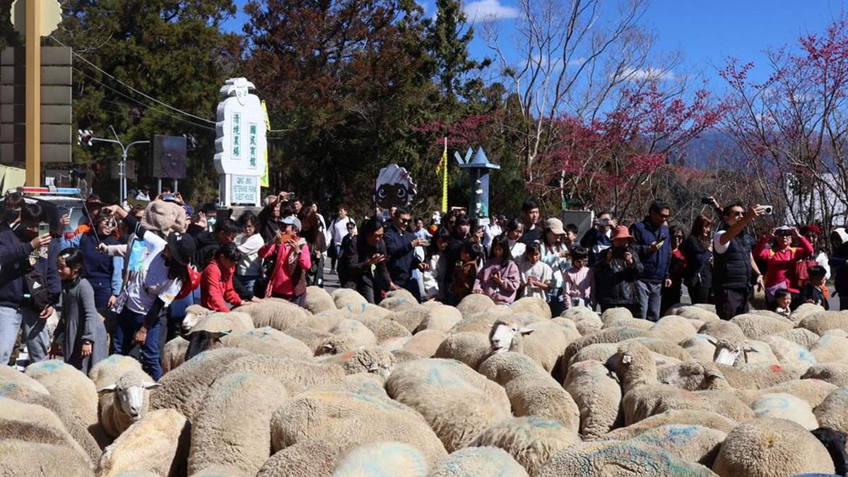 631297082 1354610140035258 6613205303058817677 n