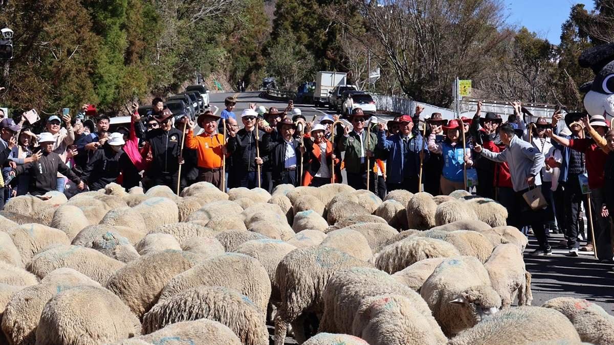 631374901 1354610196701919 5698299310021755533 n