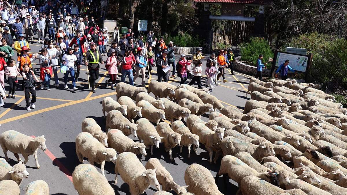 633634960 1354610216701917 2005046455531649117 n