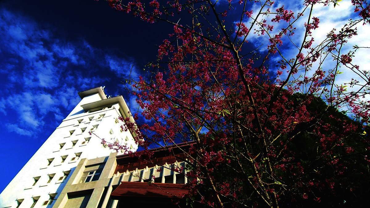 2026台中東勢新丁粄節登場 120斤超級新丁粄吸睛 FOCASA首進山城掀高潮 6 640703810 1372552008242847 4383392464826872079 n