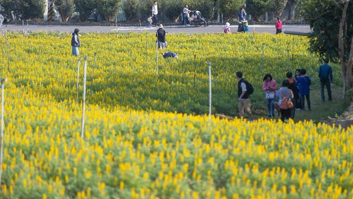 7c34b02a 8c15 4212 a2bf c1966a3971d9