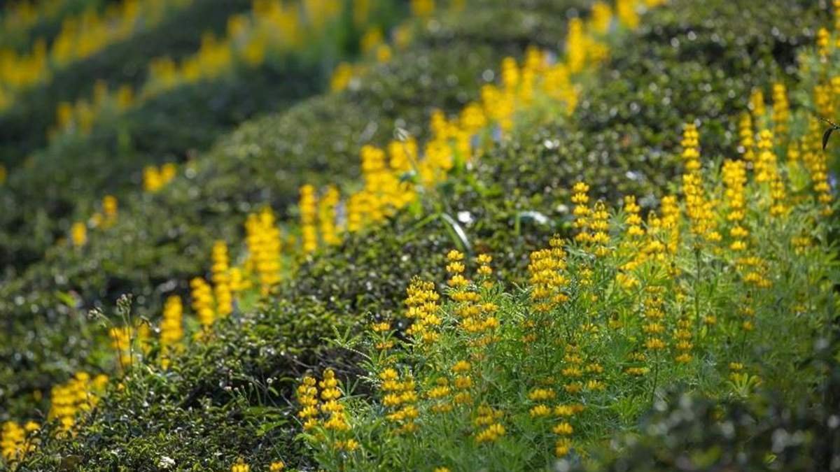 dcb24957 2b36 44c5 8aff b51c245a1e0a