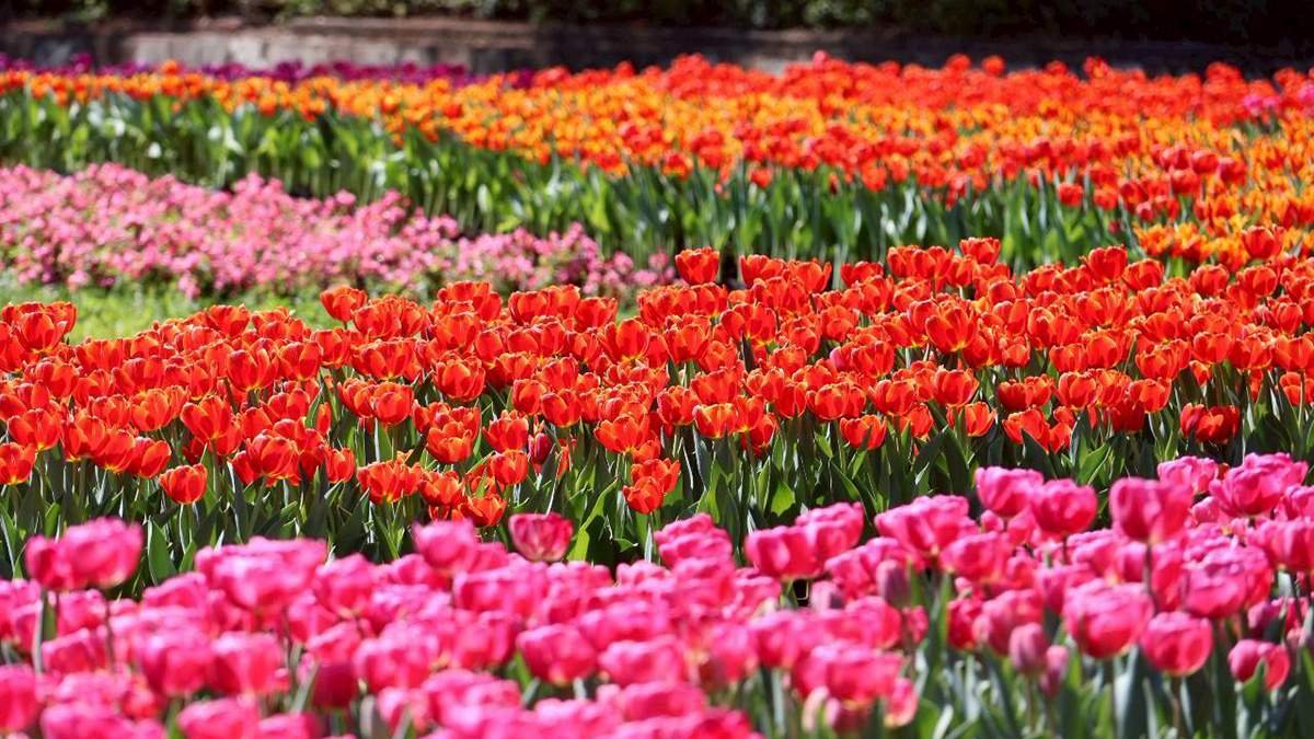 e95e9b3f 0cf7 4d7b 9922 bd2b410b0469