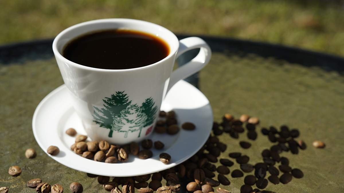 huisunlinchangtuichudekafeidouyuetaochunludengtese