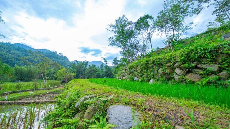 line oa chat 260213 214233 group 2