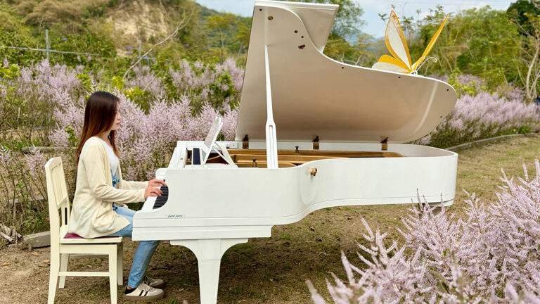 line oa chat 260225 171100