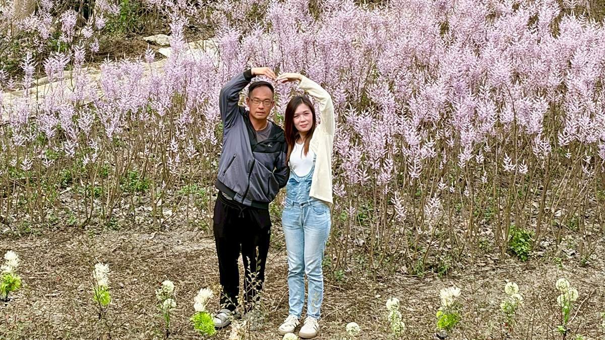 中寮溪畔祕境開園 粉紅迷宮、白色鋼琴成山城新亮點 3 line oa chat 260225 171103