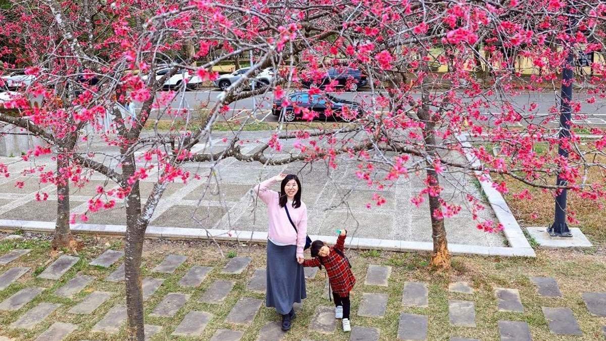 line oa chat 260226 220442