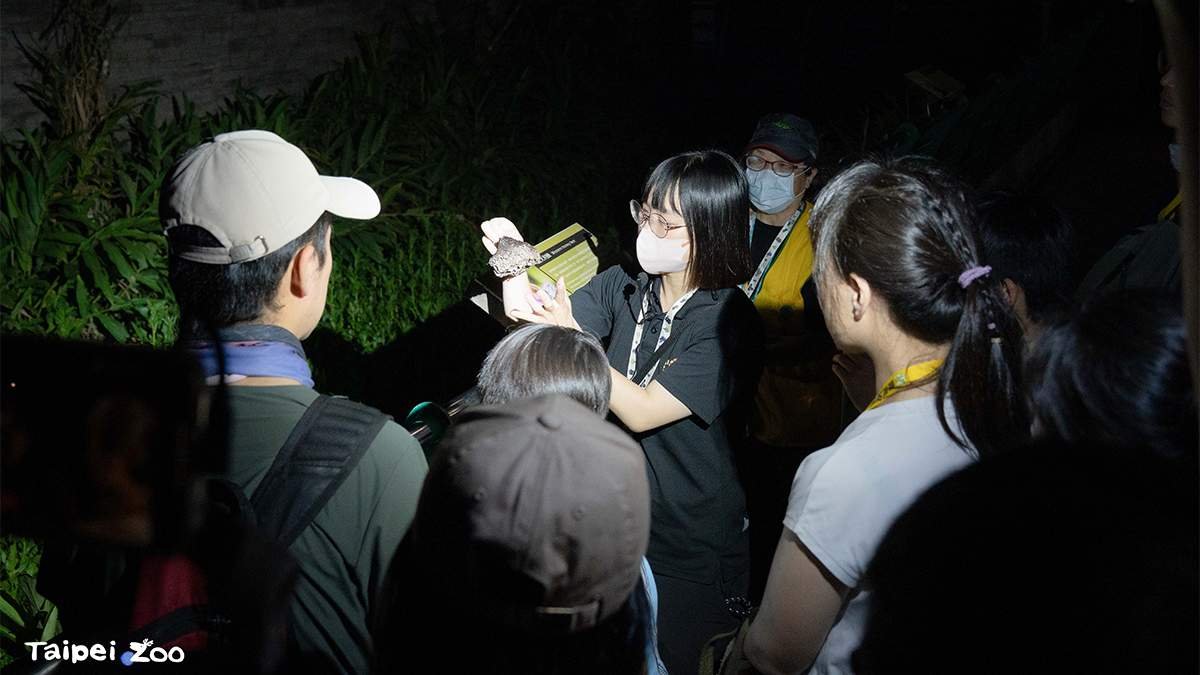 1a42b312 12ca 447d a5e4 9c5c84a1b318