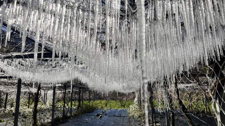 650709089 1350011723828981 6674662624727011781 n