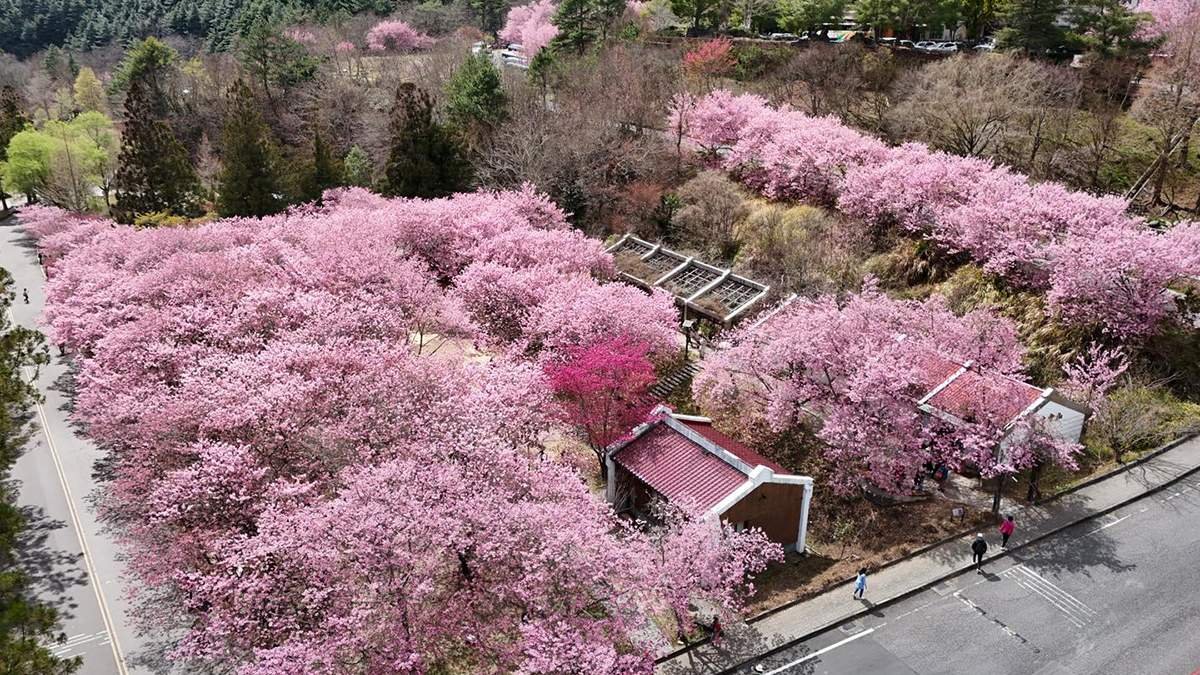 656463943 1359268436236643 7503358867918781648 n