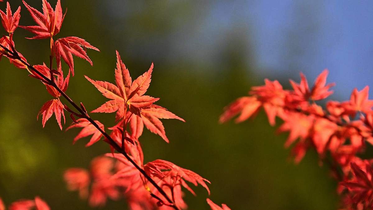 656697508 1362033349293485 8393888139521779898 n