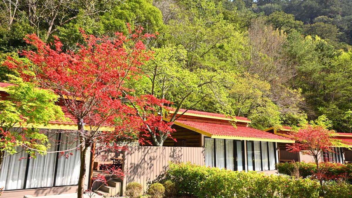 657053577 1362033345960152 9190783672041841350 n