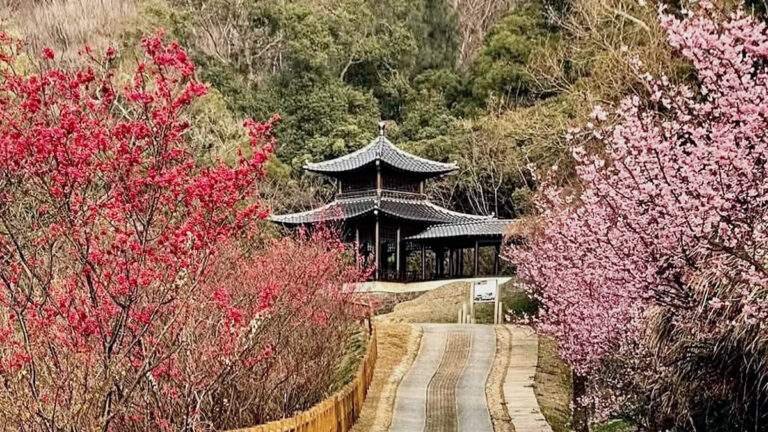 line oa chat 260305 151835