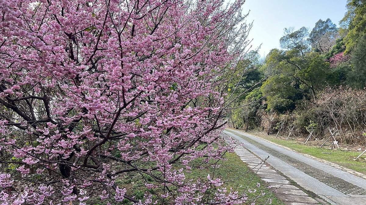 line oa chat 260305 151837