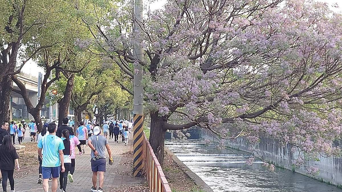台中城市半馬回歸 1.5萬跑者花裝齊跑 1