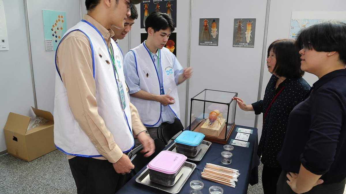 AI情蒐抓蟲如棒球戰術 中興大學建害蟲監控網辨識率逾9成 2