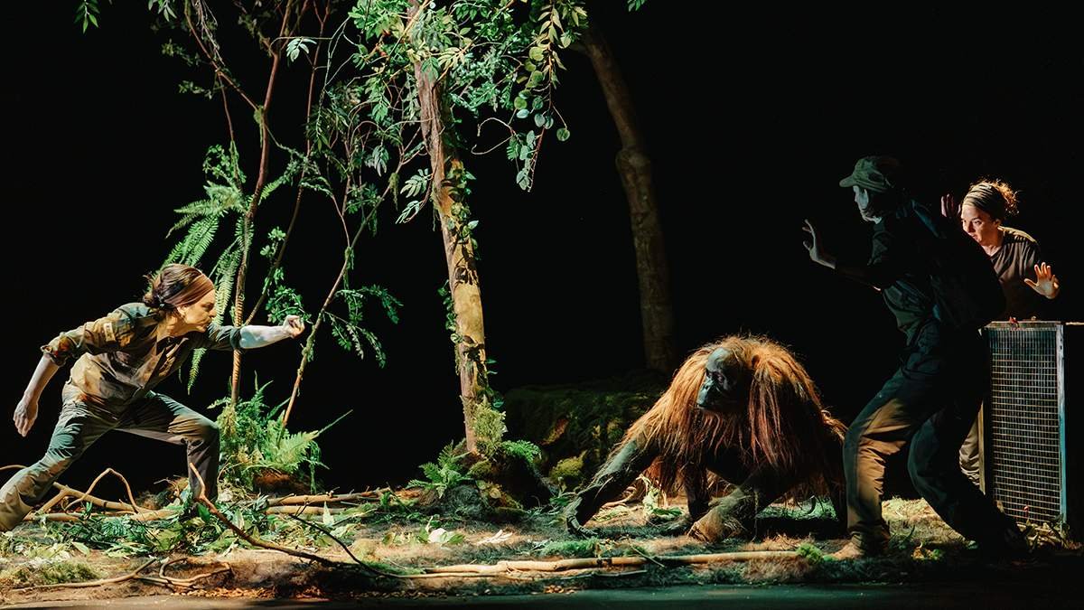 2026nttartsnovabilishijingwujutuanzhejiushirensena 1