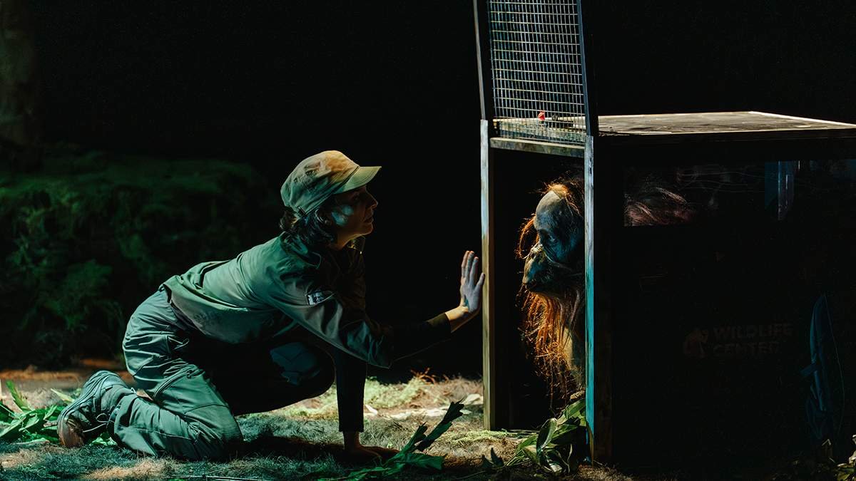 2026nttartsnovabilishijingwujutuanzhejiushirensena 2