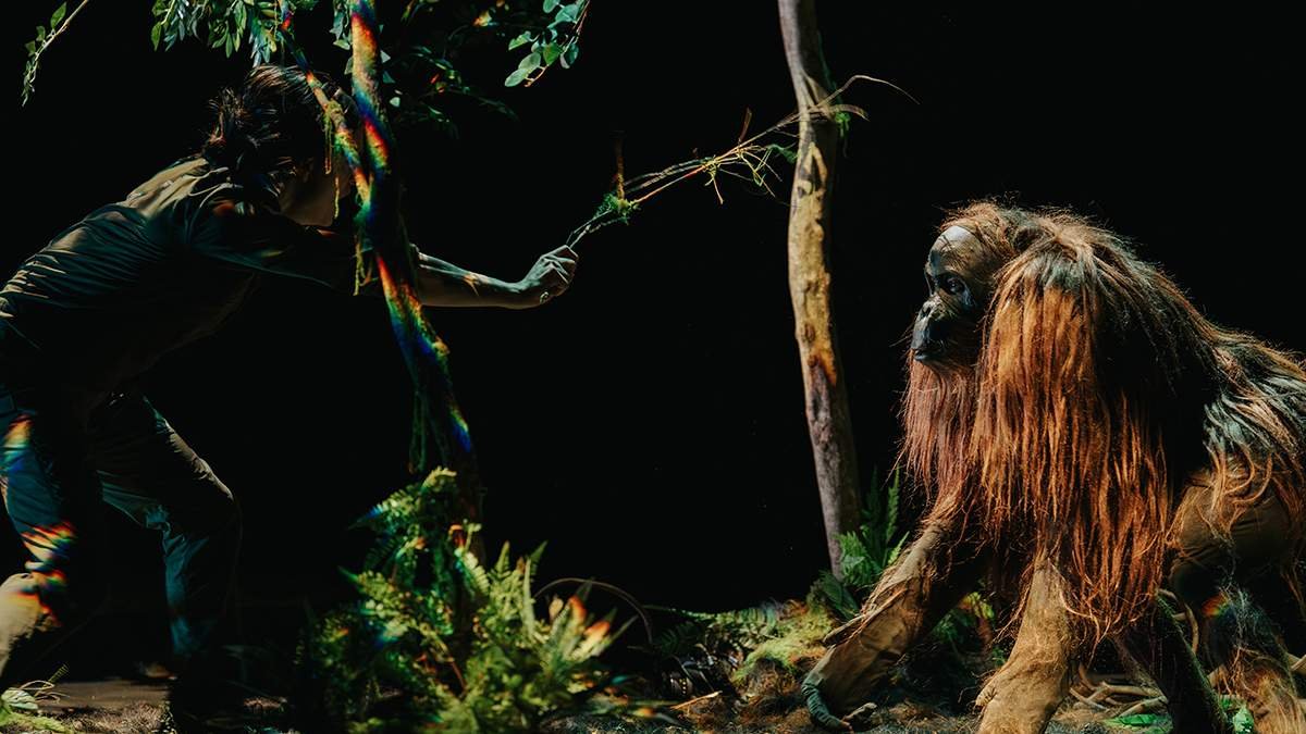 2026nttartsnovabilishijingwujutuanzhejiushirensena