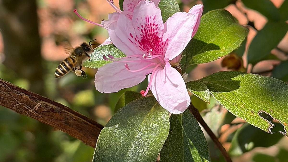 656051937 1285721910364736 3482928818748684407 n