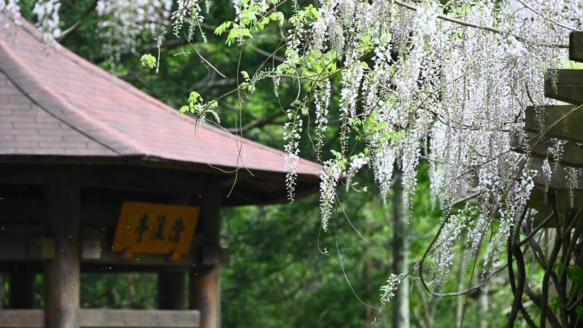 668939327 1374797968017023 6591073626139456369 n