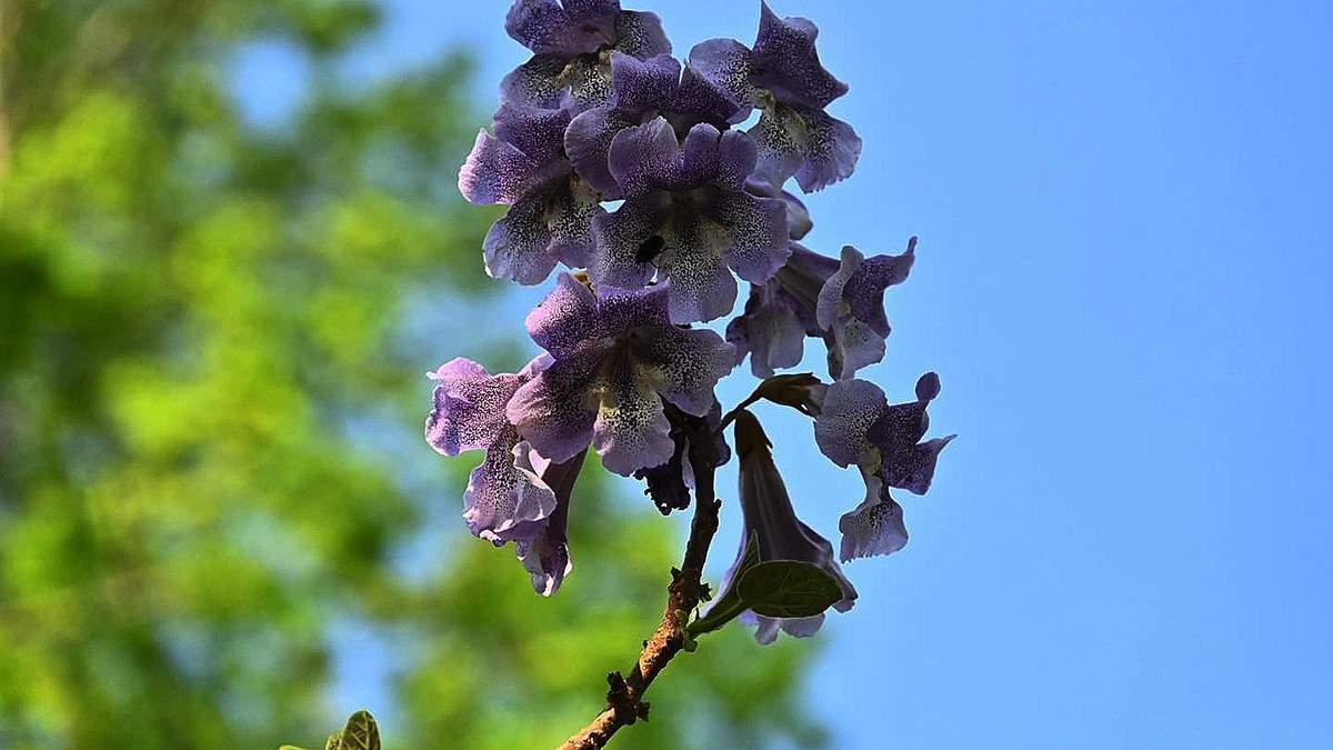 669778623 1376410821189071 4156963087695468588 n