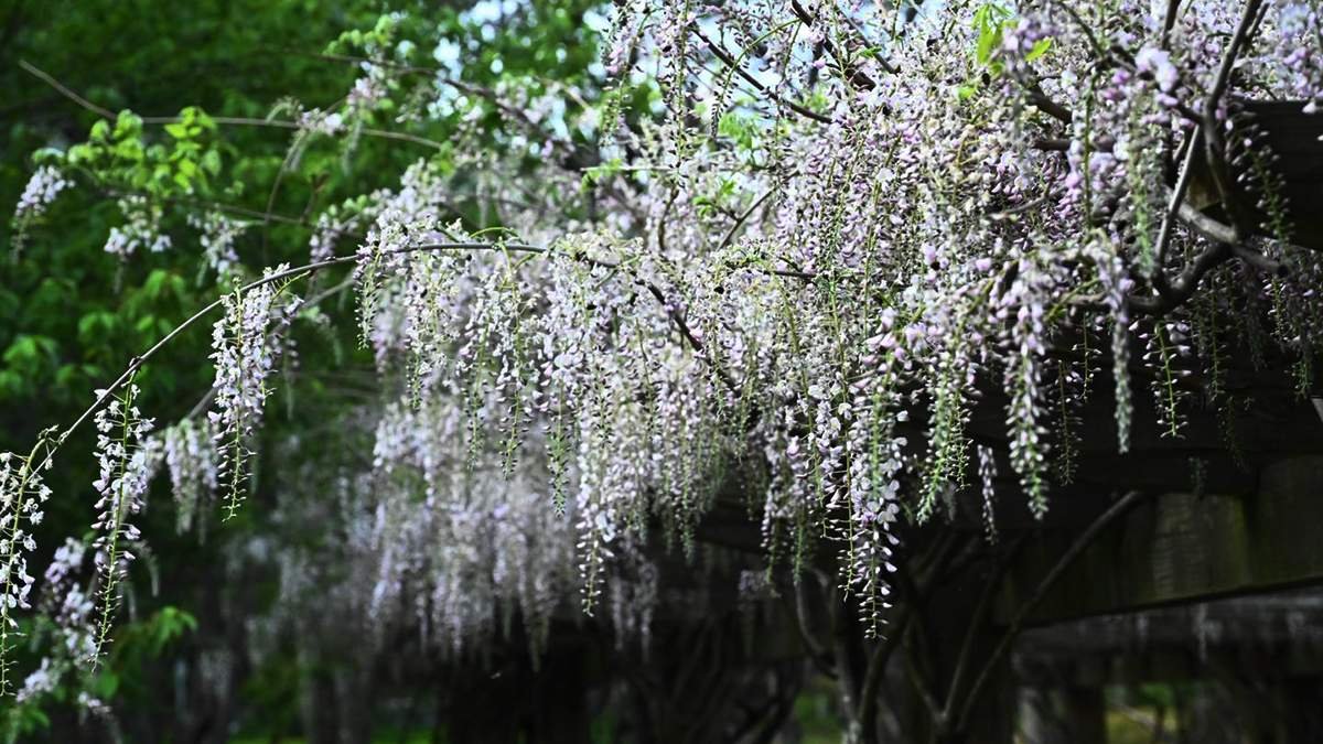 670284719 1374797914683695 7475659824990350850 n