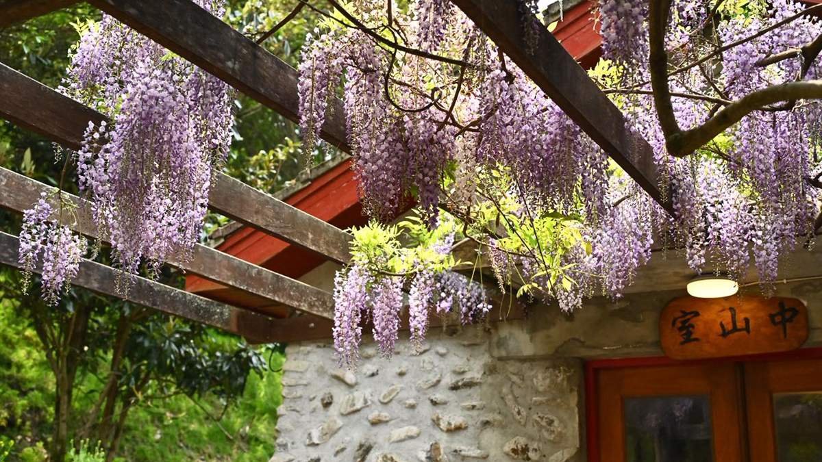 671211903 1377139021116251 1400982572502978641 n