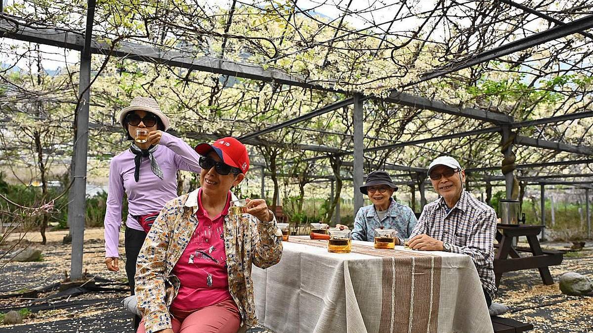 672090582 1378157787681041 2655672636142744143 n