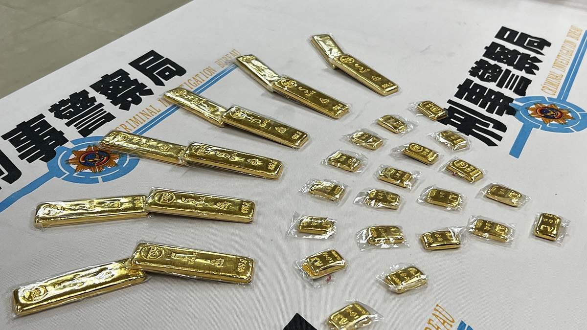 685563354 1386487486842163 920718610959533785 n