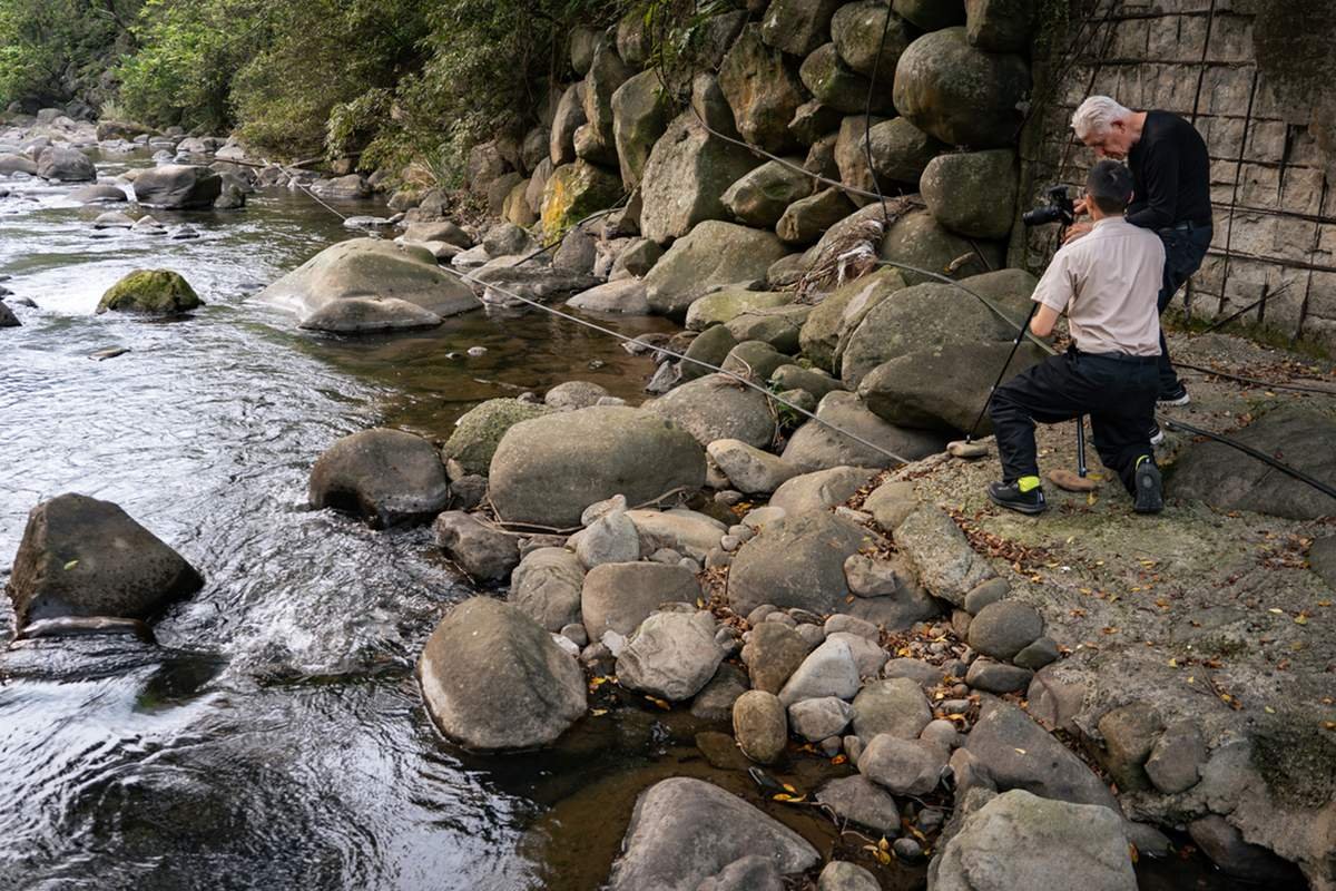 guomeiguanzhuguanyishujiabierfengtanabillfontanayu 5