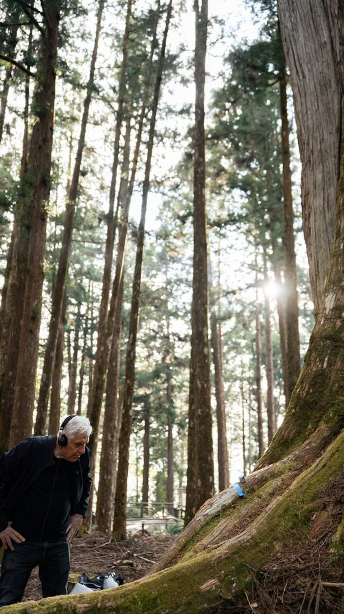 guomeiguanzhuguanyishujiabierfengtanabillfontanayu