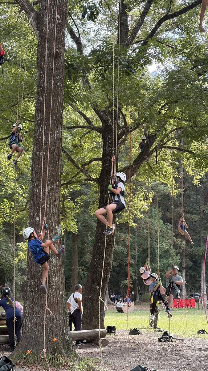 huisunlinchangertongjietuichupanshutiyan