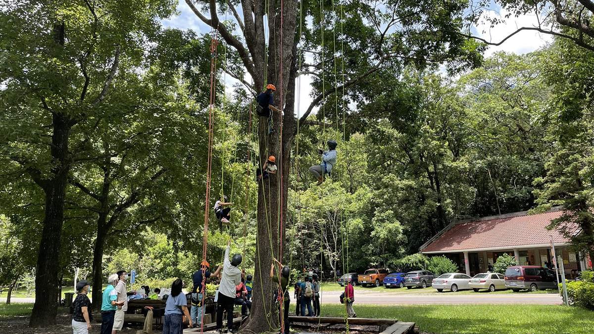 huisunlinchangertongjietuichupanshutiyan2