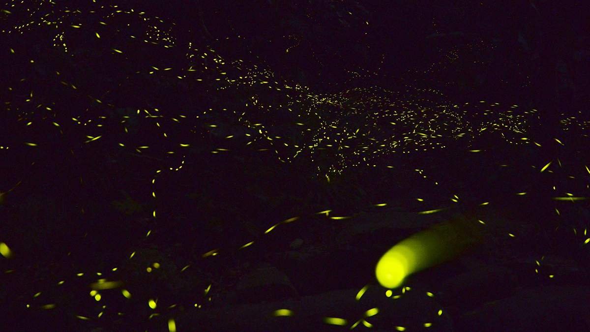 huisunlinchangshangyingjidengchangtupianlaiyuanhui