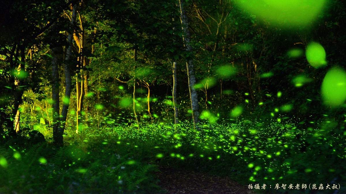 huisunlinchangshangyingjidengchangtupianlaiyuanlia