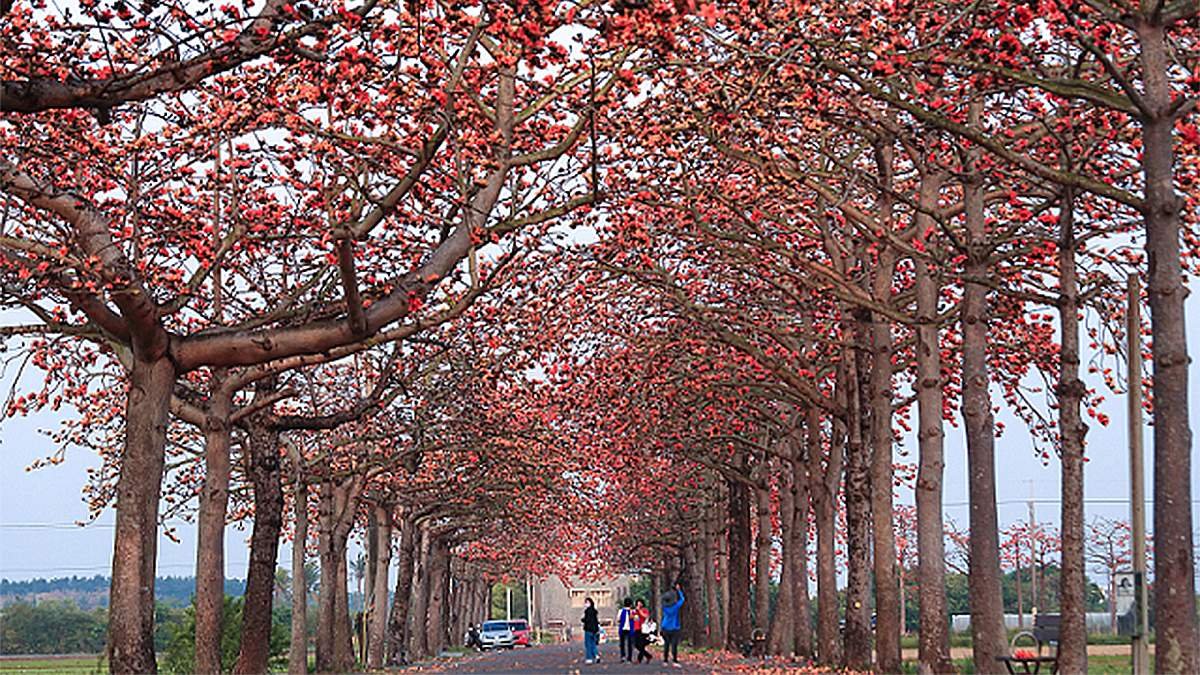 line oa chat 260401 143713 group 0