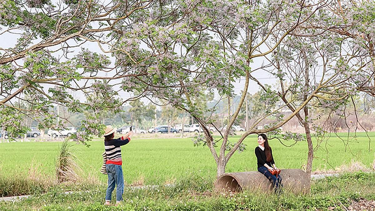 line oa chat 260401 143713 group 1