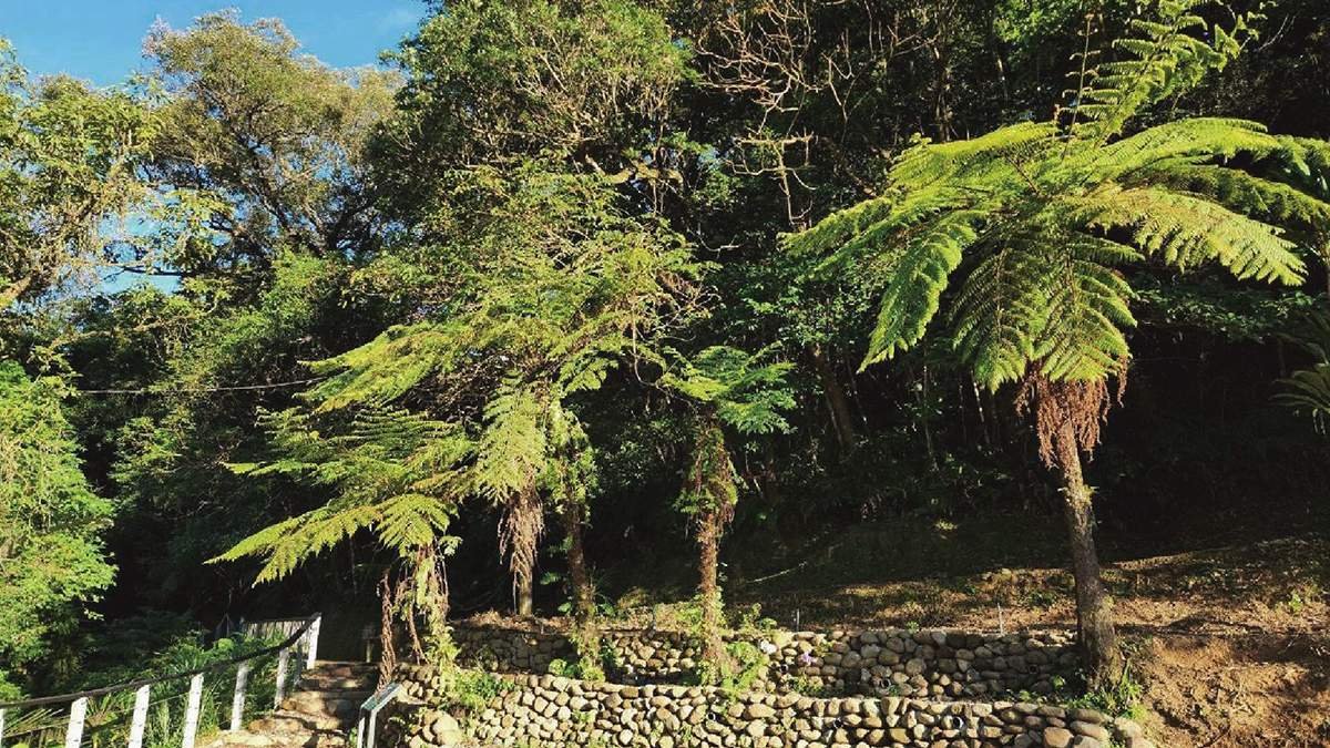 line oa chat 260415 221232