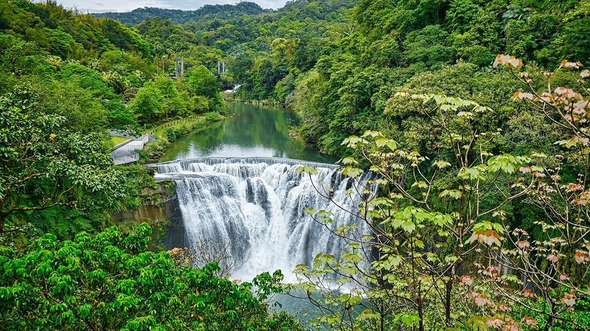 line oa chat 260429 213434