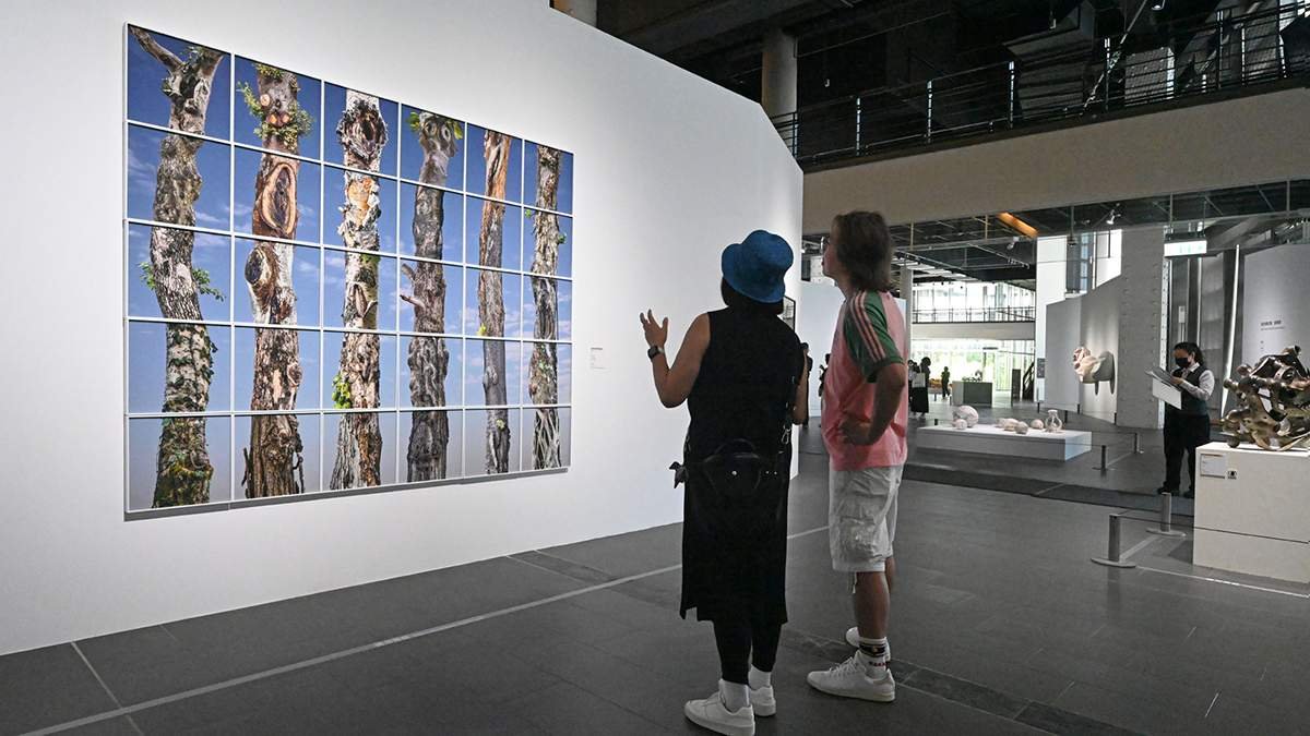 115nianquanguomeishuzhanjiriqidengchanghuijuquangu